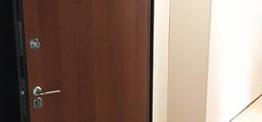 Фото дверей с ламинатом